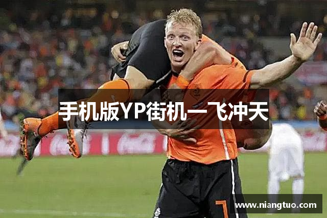 手机版YP街机一飞冲天